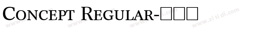 Concept Regular字体转换